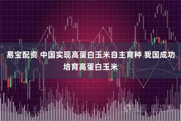 易宝配资 中国实现高蛋白玉米自主育种 我国成功培育高蛋白玉米